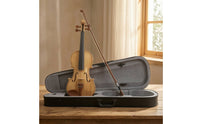 Violin with Hard Case Wooden Violin with Case Black Student for Beginners, Practice, Lessons