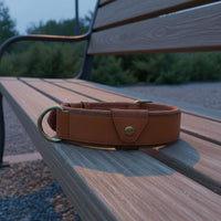 Dog Positioning Device Leather Dog Heavy Duty Buckle for Outdoor, Walking, Travel