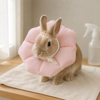 Adjustable Flower-Shaped Pet Collar Textile Exterior Padded Pet Collar for Small Pets