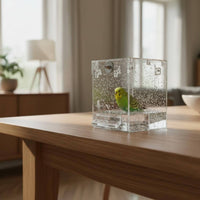 Transparent Bird Bath Box Suction Cup Mount Parakeet Bath Tub Portable Pet Accessory Long-Lasting for Small Birds