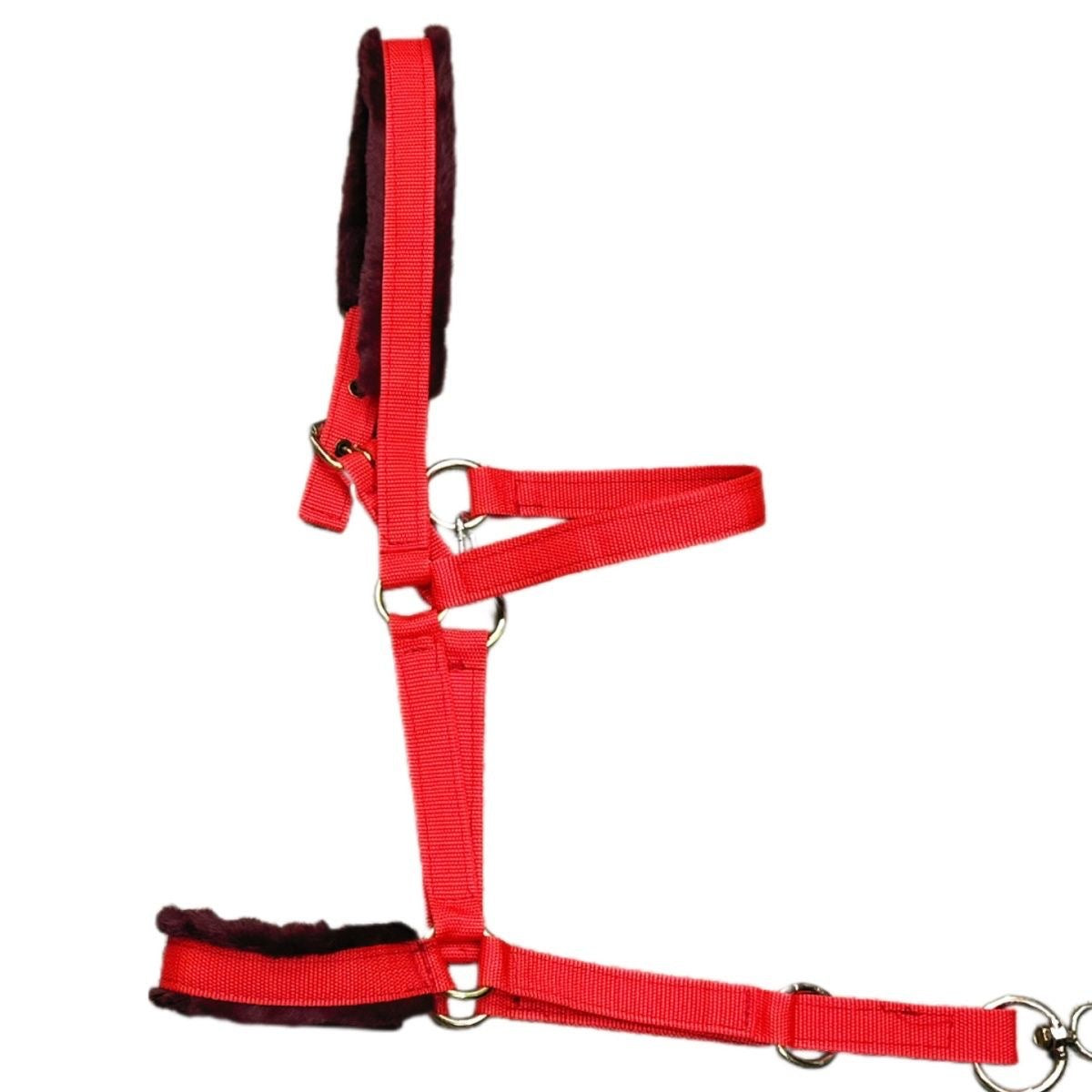 Adjustable Fleece-Lined Horse Halter for Adults