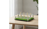 Acrylic Golf Ball Display Stand with Turf Base Clear Golf Ball Display Rack Tabletop Compact for Golfers, Collectors, Desk, Office, Trophy Room