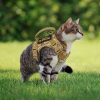 Cat Walking Harness and Leash Set, Vest Style Polyester Adjustable Secure Harness with Handle, Bungee Training Leash and Patches for Outdoor Pet