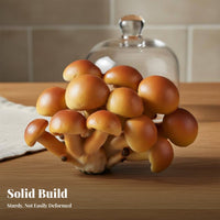 Realistic Toadstool Model Highly Detailed Simulation Toadstool Clear Texture