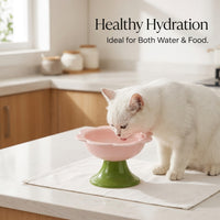Ceramic Raised Cat Dish, Slanted Pet Food Bowl, Elevated Dog Water Feeder, Neck Protection, Anti-Black Chin, Easy Clean