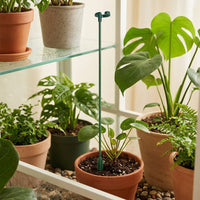 Indoor Plants and Outdoor Plants Support with Hook Top, Durable Garden Stakes for Climbing Plants, Pointed Tip Plant Stakes, Plastic Sticks