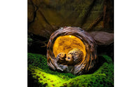 Lighted Creature Decoration Waterproof Resin Hedgehog Statue Illuminated Resin Hedgehog Figurine Weatherproof Outdoor Lighting
