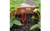 Thickened Body Strawberry Runner Rooting Pot Long-Lasting Strawberry Propagation Cup Space-Saving for Gardeners, Garden, Greenhouse