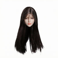 1/6 Scale Female Head Sculpts Customizable Rooted Hair Head Figure