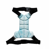 Pet Cooling Vest Harness Molded Segmented Cooling Vest Buckle Adjustable Pet Harness