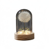Gift Idea Floral Crystal Ball Lamp Decorative Accent Floral Dome Lamp Delicate Design Glass Dome Night Light LED Lighting for Desktop, Bedside