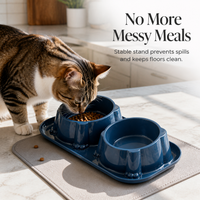 Double Stainless Steel Pet Bowl for Cats and Dogs, Non-Slip Tilted Food and Water Feeder