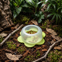 Semi-Transparent Reptile Feeding Bowl Translucent Feeding Dish Low-Profile Reptile Bowl Anti-Escape