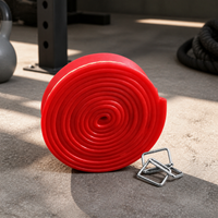 Resistance Band for Strength Training and Pull-Up Assistance