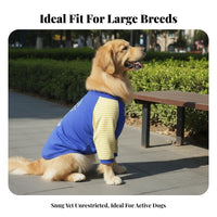 All-Season Wear Dog Elbow Protector Shirt Breathable Material Front Leg Sleeve for Dogs Soft & Comfortable for Outdoor Walks, Indoors, Home