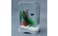 fishing Aquarium Transparent Desktop Aquatic Habitat Easy to Maintain Aquarium with Lid for Beginners, Office Workers