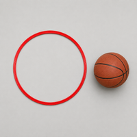 agility training rings