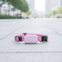 Woven Collar with Tracker Comfortable Smarttag Pet Collar Long-Lasting Bluetooth Pet Tracker Sturdy for Leashunrestricted Play