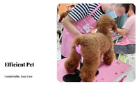 Prevents Sitting Adjustable Dog Standing Aid Safe & Humane Dog Grooming Stand Easy to Use No-Sit Haunch Holder Sturdy