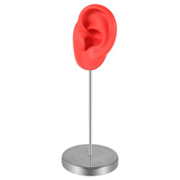 Washable Ear Display Model with Stand Stable Ear Model with Stand Reusable Lightweight for Jewelers