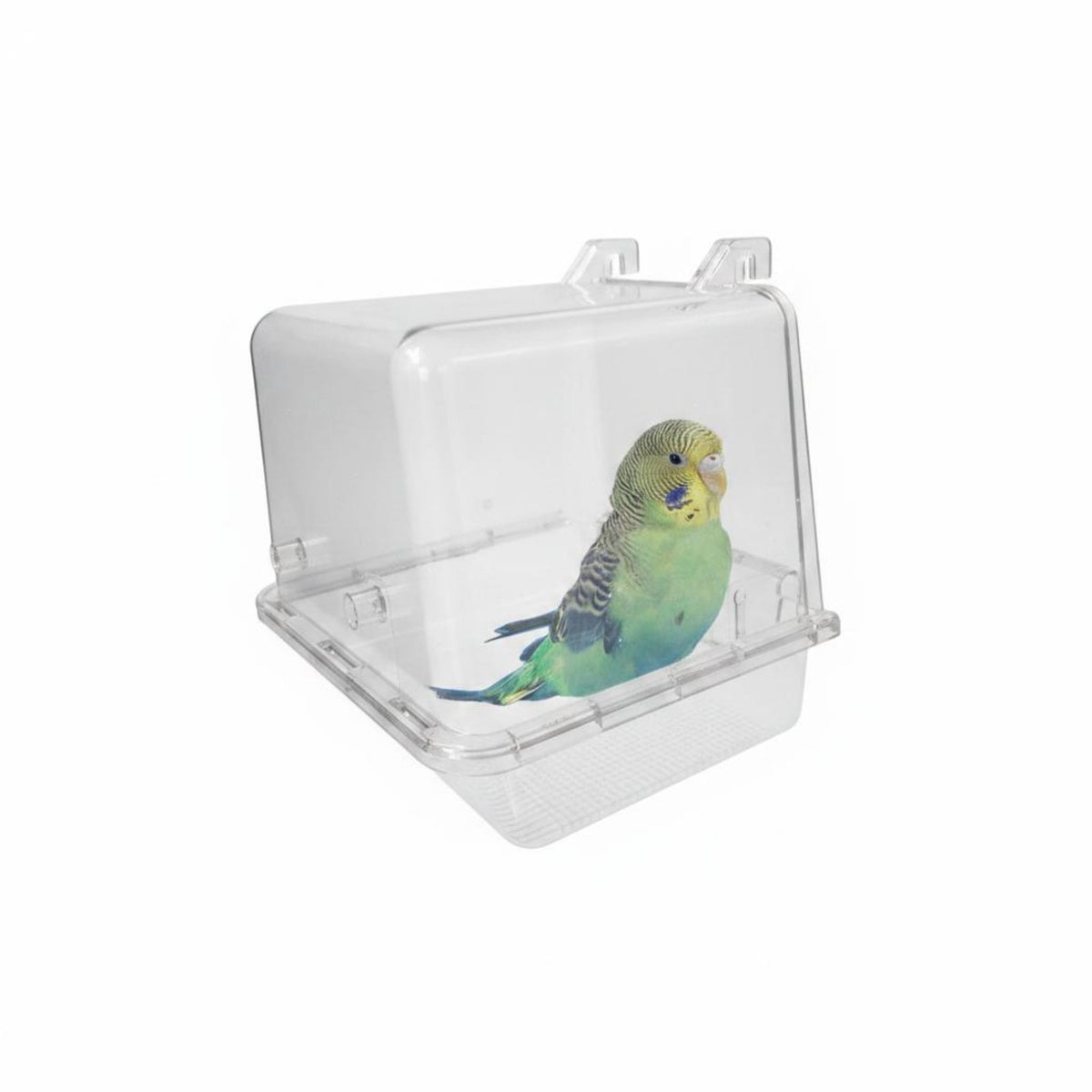 Dual Use Hanging Acrylic Bird Bath Lightweight Hanging Acrylic Bird Feeder Crack Resistant Parrot Feeder Box Easy to Install for Parrots, Small Birds, Aviary