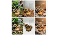 Reptile Feeding Dish with Water Bottle Wood-Look Pet Supply Stable for Vivarium
