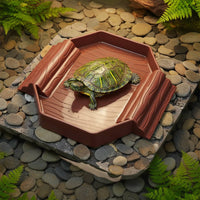 Turtle Bath Base Aesthetic Basking Base Bowl Easy to Clean Tortoise Bath Basin for Aquarium Decor