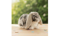 Stuffed Bunny with Long Floppy Ears Soft Stuffed Bunny Compact