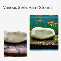 Engraved Natural Stone Desktop Bonsai Fishbowl Decor