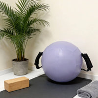 Twin-handle Medicine Ball Non-Spring Portable Stability Fitness Equipment for Gym