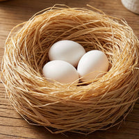 Easter Egg Birds Nest, Paintable Easter Egg Realistic Design Garden Nature Art DIY Decorative Egg Smooth Plain White Simulation Eggshell for Crafters, Adults, Art Projects, Home Decor