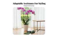 Includes Fastening fasteners arcd flowering plant Stake Provides Stability stalk assist Kit Sturdy Plant reachory Reusable for Gardeners, Homeowners, Indoor, Indoors, Potted Plants, Balcony