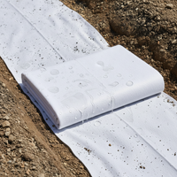 White Polyester Non-Woven Geotextile Fabric for Filtration, Isolation, Drainage, and Road Maintenance