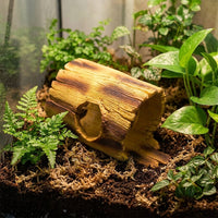 Crested Gecko Enclosure Accessories Resin Tree Hollow, Water-Repelling Reptile Hide and Tortoise House Indoor, Bark Climbing Surface