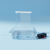 Fresh Water Flow Circulating Bird Bath Cross-Border Ready Parrot Shower Tub Plastic for Aviary
