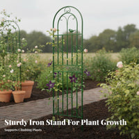 Large Metal Garden Trellis 120cm x 50cm, Sturdy Iron Plant Support for Climbing Plants, Outdoor Decorative Trellis for Roses & Vines