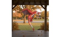 Inflatable Dragon with LED Light-up Hanging Dragon for Yard, Garden