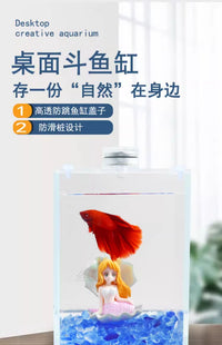 泰国斗鱼缸超白玻璃缸透明隔离盒桌面小型办公室桌面迷你小鱼缸 160*120*140mm黑背裸缸+盖 0x0x0mm