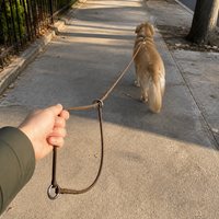 Dog Training Slip Leash Anti-Pull P-Chain for All Breeds