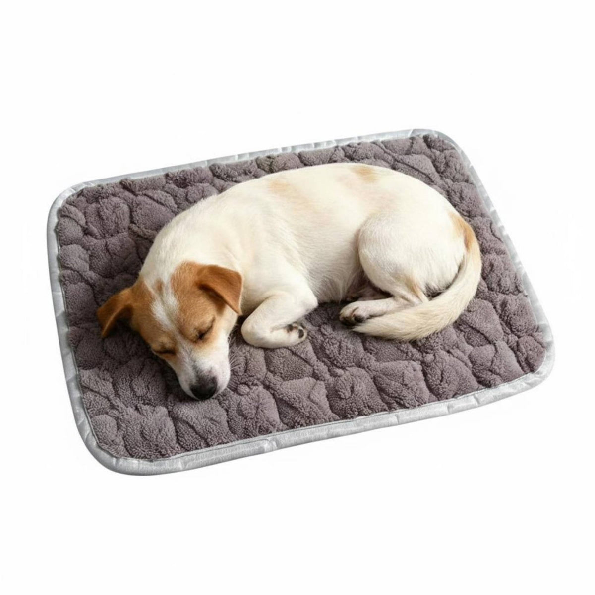 Warm Rectangular soft and velvety pet mat Non-Slip soft and velvety Rectangular Mat Soft pet Bedding adaptable for Dogs, Dog Owners, Small animals, pet carriers, Kennels, Indoors, Floor