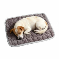 Warm Rectangular soft and velvety pet mat Non-Slip soft and velvety Rectangular Mat Soft pet Bedding adaptable for Dogs, Dog Owners, Small animals, pet carriers, Kennels, Indoors, Floor