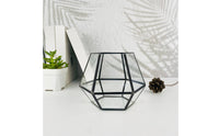 Geometric Glass Terrarium Decorative Centerpiece Geometric Glass Planter Desktop Drought-Tolerant Plant Terrarium Great Gift