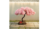 Miniature Cherry Blossom Tree Model Freestanding Flowering Cherry Tree Miniature Realistic Display Decor for Micro-Landscape