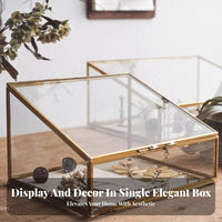 Trapezoid Glass Display Case Gold-Tone Frame Jewelry Box Dust-Proof Lid for Desk