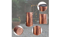 Decorative Solar Lantern with Dragonfly Design Eco-Friendly Dragonfly Solar Light Automatic Metal Lantern High-Efficiency for Garden