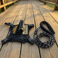 Cat Harness with Leash Adjustable Cat Harness and Leash Set Breathable Padded for Cats, Outdoor Walks, Travel
