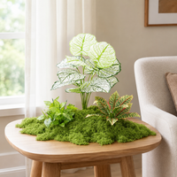 artificial plant arrangement