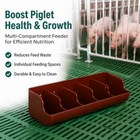 Piglet Feeder Trough, 5 Compartment Hanging Pig Feeder for Farrowing Pen Rectangular Piglet Feed Dispenser