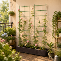 Trellis Iron Fence Clematis Support Green Garden Gardening Climbing Plant Training