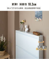 信工全屋钢制超薄鞋柜10cm家用室内防尘简约极窄斜插式入户玄关柜 升级静音505两斗 包安装